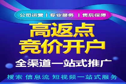 某电商平台的托管SEM竞价策略大揭秘